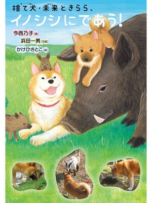 cover image of 捨て犬・未来ときらら、イノシシにであう!